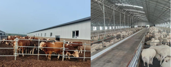 【现代畜牧业试验区·典型模式】扎赉特旗“2337”草原畜牧业转型模式探路：草原这样实现“绿富同兴”(图1)