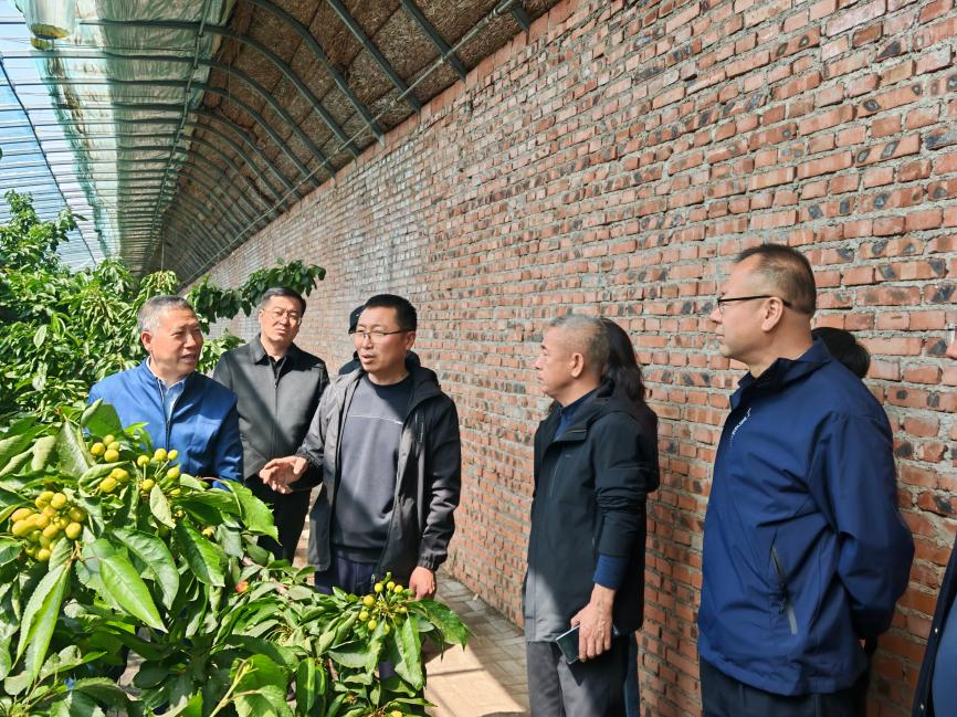 自治区农牧业技术推广中心到兴安盟开展设施农业工作现场指导